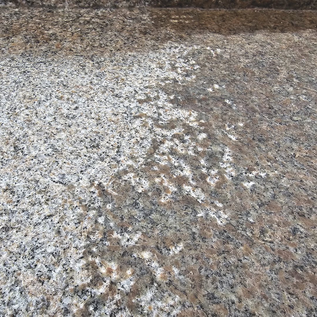 Algra Multiservice_0007_IMG-20250424-WA0063