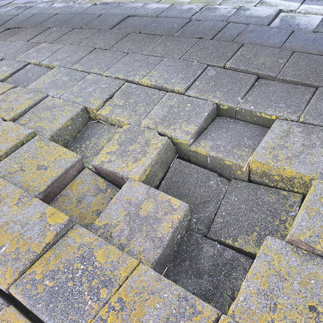 Algra Multiservice_0037_IMG-20250424-WA0033